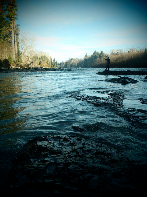 olympic peninsula fly fishing